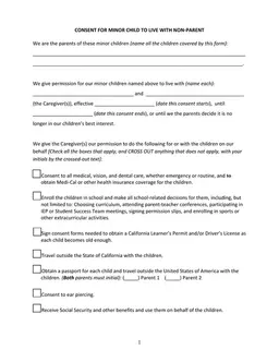 California Child Caregiver Consent and Responsibilities Agreement form preview