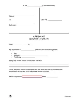 Affidavit or Sworn Statement for Legal Proceedings form preview