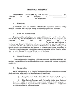 Employee-Employer Agreement Template - Establish your Employment Terms form preview
