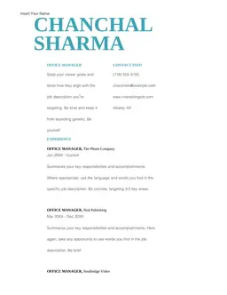Simple bold resume form preview